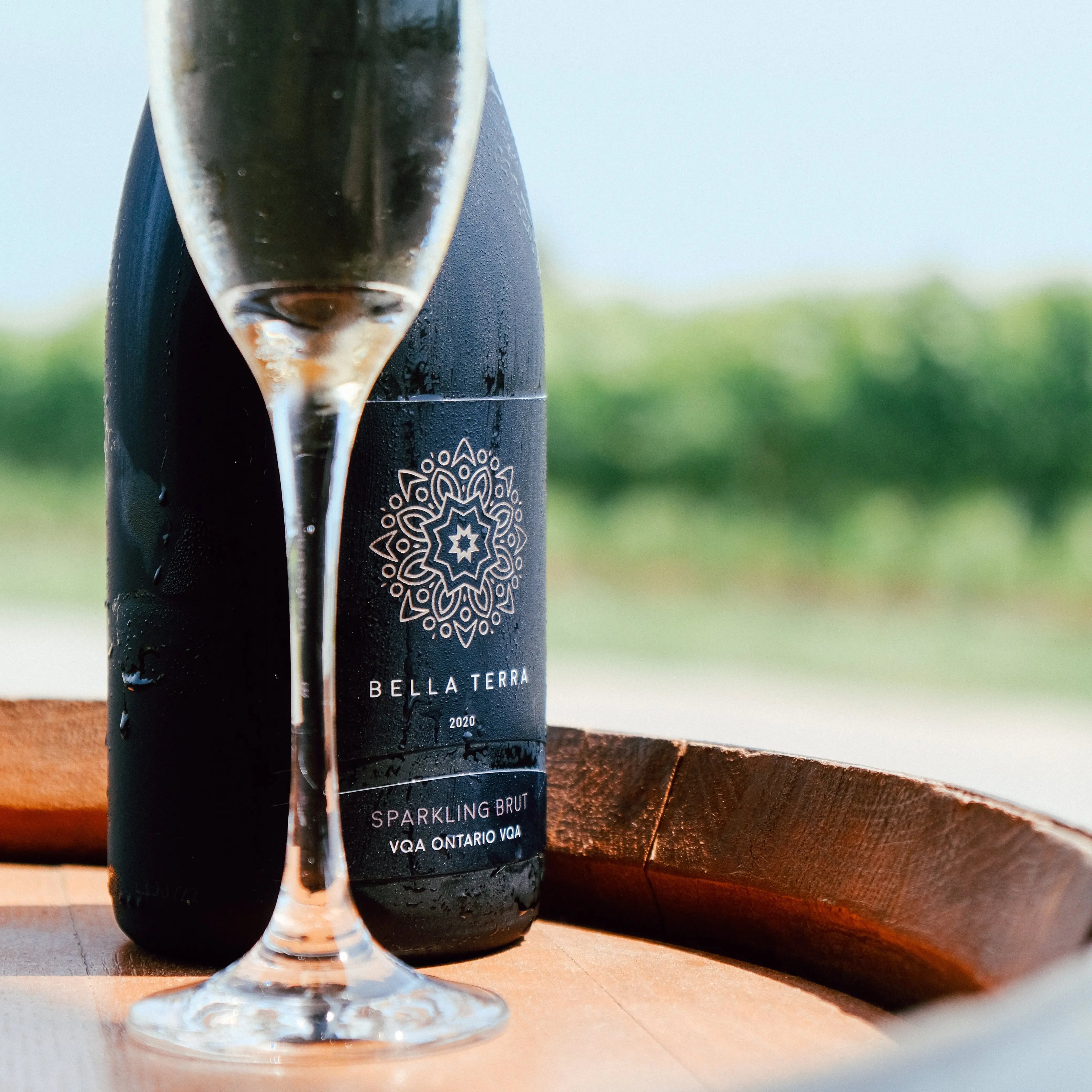 Dessertwijn Hét-ultieme-hittegolf-drankje-de-IceQueen IJswijnen.nl