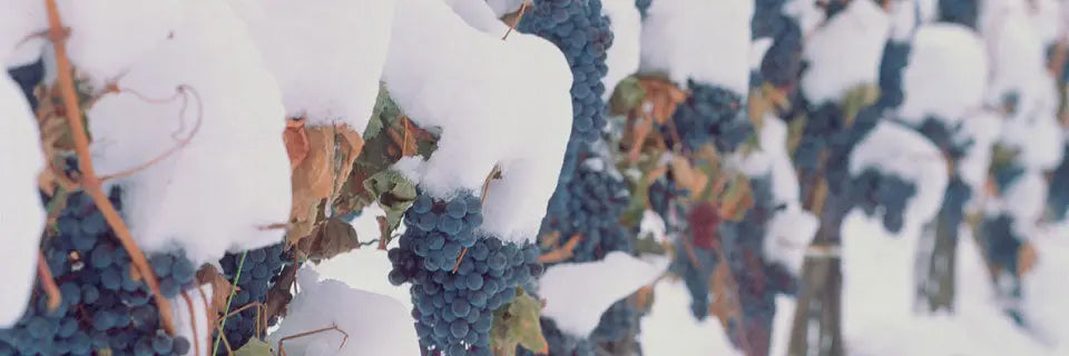 Dessertwijn Alle-wijnen IJswijnen.nl