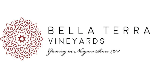 Logo van Bella Terra Vineyards – Canadees wijnhuis uit Niagara bekend om premium wijnen en vakmanschap.