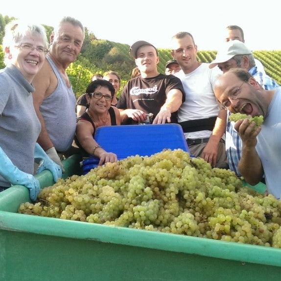 Domaine Kox Vin de Glace, 2009 IJswijnen