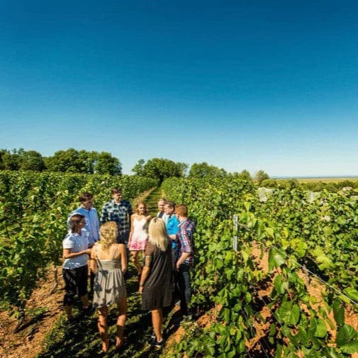 Grand Pre Winery Pomme d'Or Ice Cider - Cidre de Glace IJswijnen