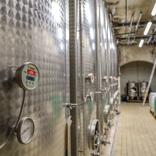 Haltinger Winzer EG Muskateller Beerenauslese IJswijnen