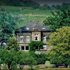 Langguth Erben Auslese  2019 IJswijnen