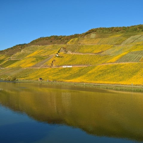 S.A. Prüm Wehlen Sonnenuhr Riesling Beerenauslese Fass 35, 2006 IJswijnen