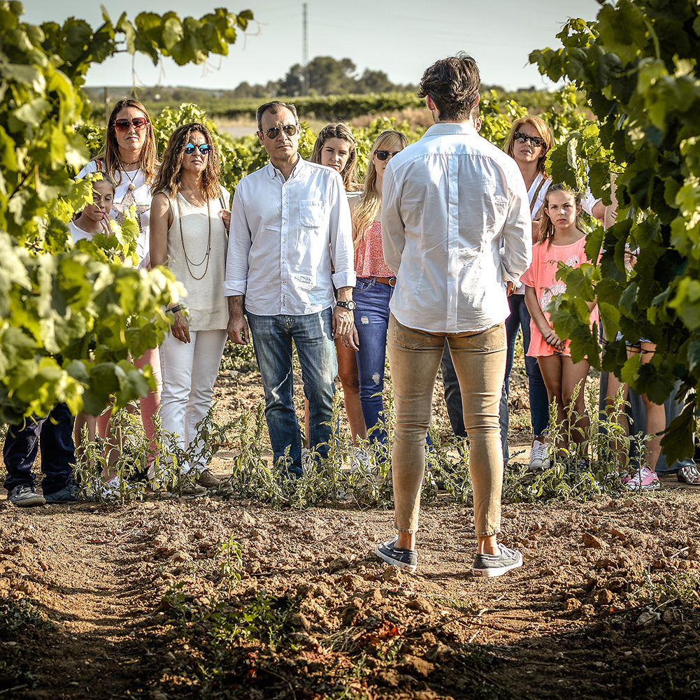 Nadal 1510 Botrytis Beerenauslese Noble Macabeu 2001 IJswijnen