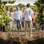 Nadal 1510 Botrytis Beerenauslese Noble Macabeu 2001 IJswijnen