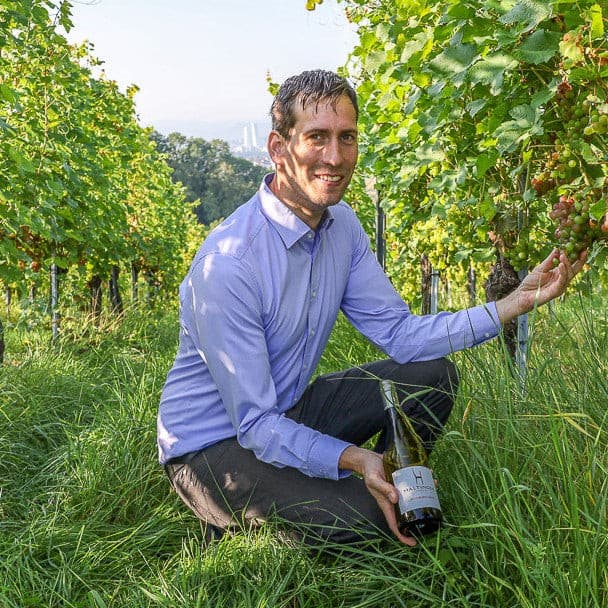 Wijngaard van Haltinger Winzer in Duitsland – zonnige helling met rijpe druivenranken, oorsprong van hoogwaardige dessertwijnen zoals Beerenauslese.